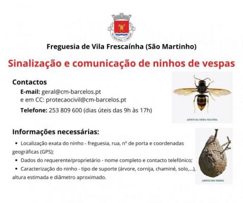 Comunica&ccedil;&atilde;o de Ninhos de Vespas