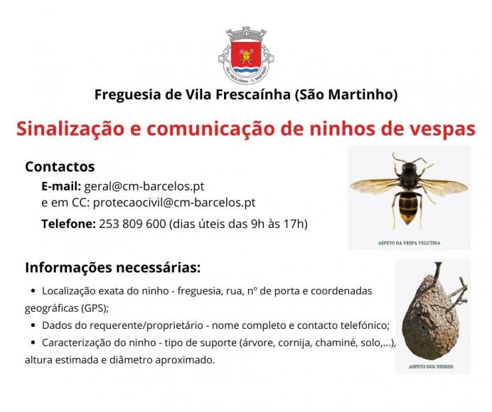 Comunica&ccedil;&atilde;o de Ninhos de Vespas