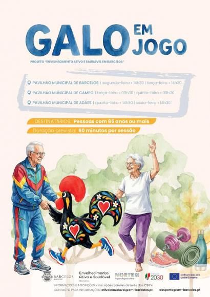 GALO EM JOGO